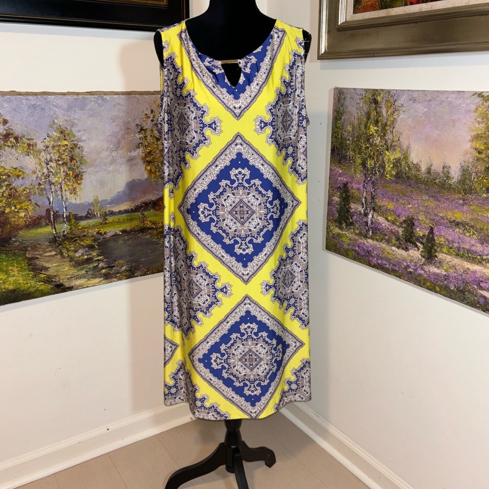 🐠 HAANI dress size 2X